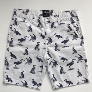 Jackson Size 32 Bird Shorts 0007
